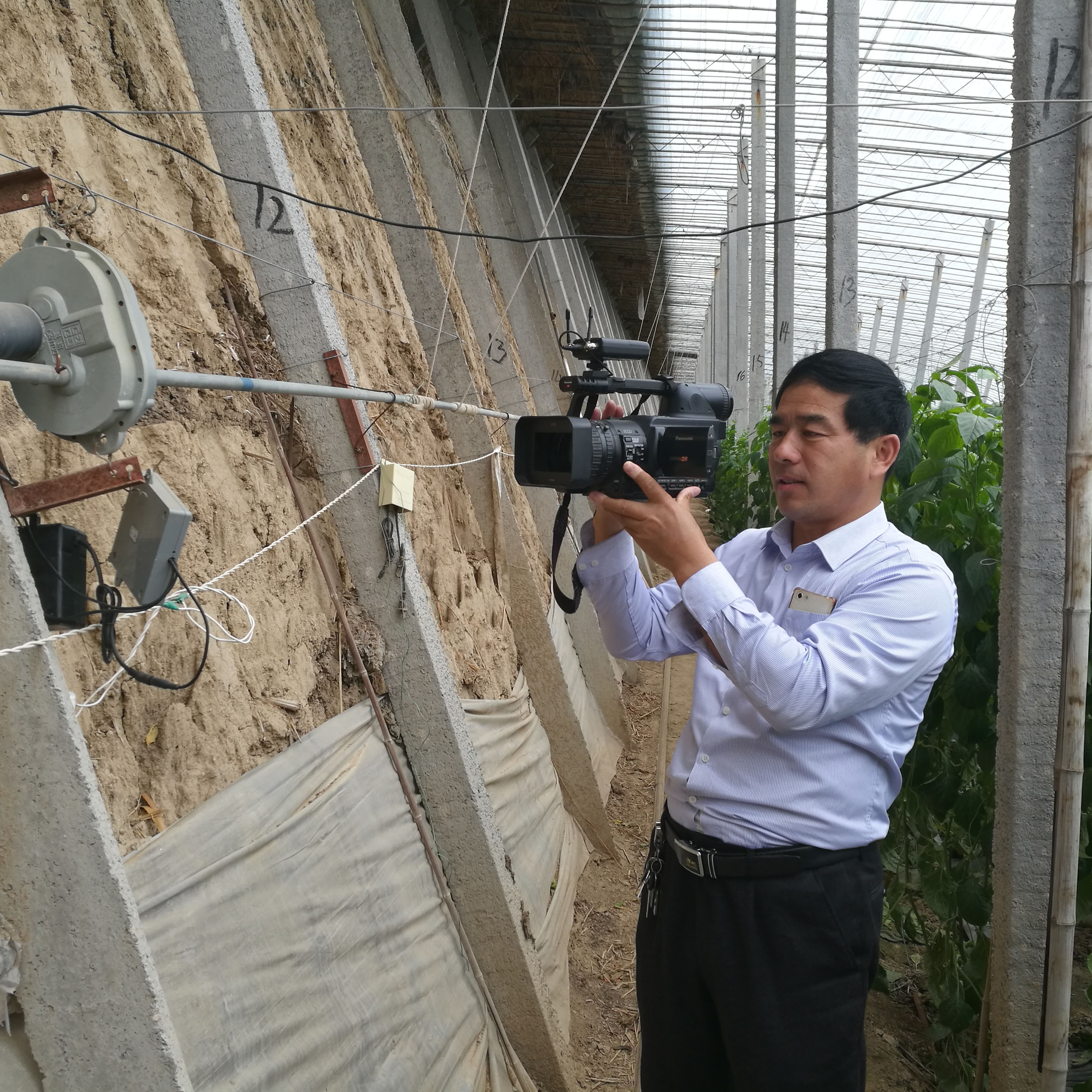 與大棚較勁的干部