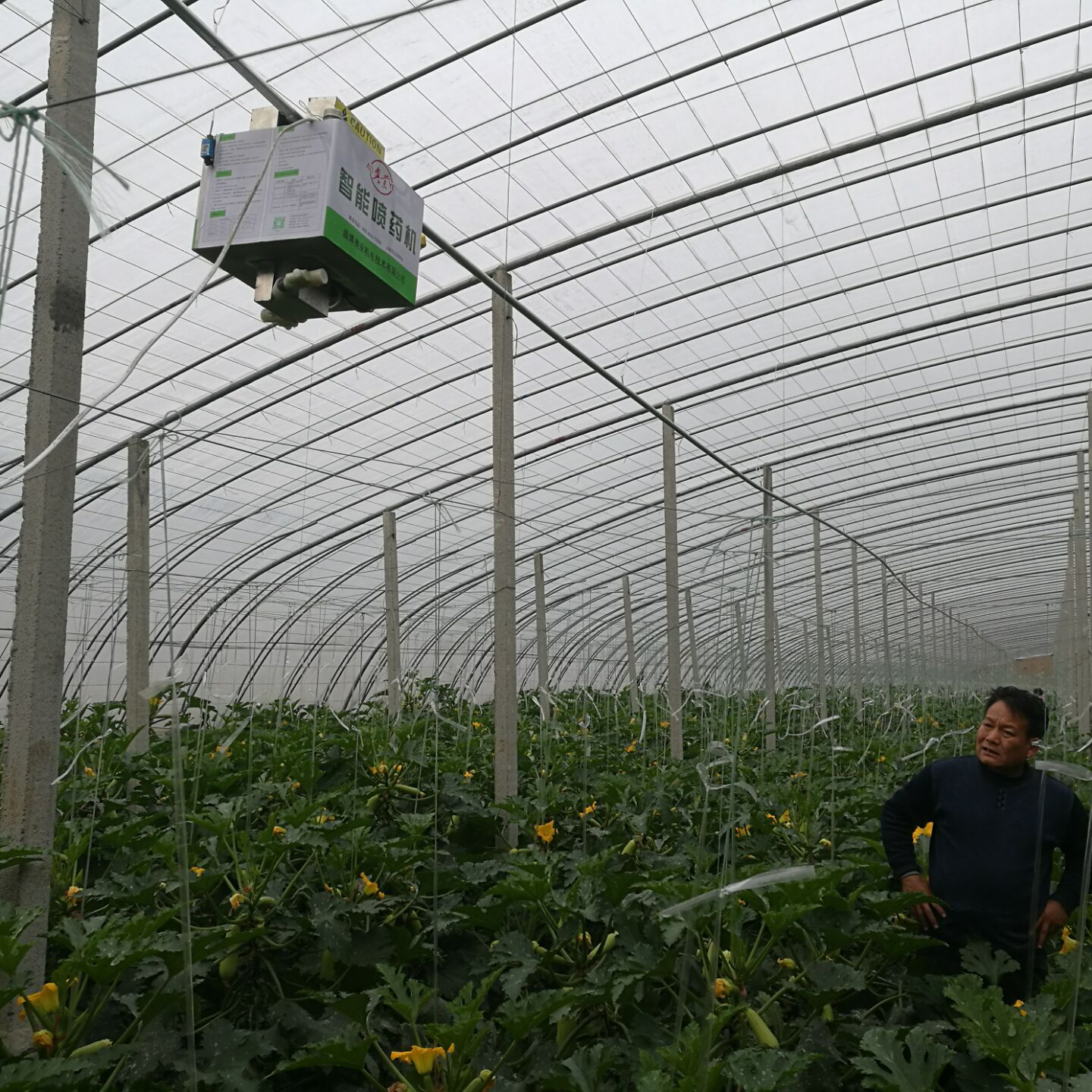 大棚噴藥機(jī)專題片
